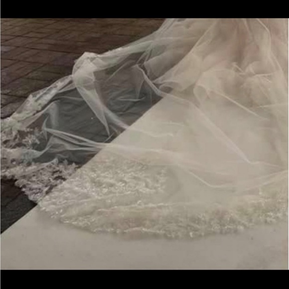  Cathedral Veil from kleinfelds - Picture 7 of 7
